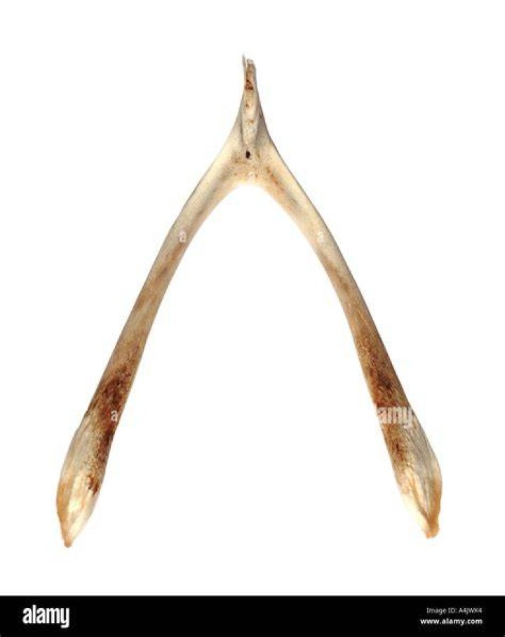 Wish Bone